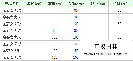 金森女贞价格表