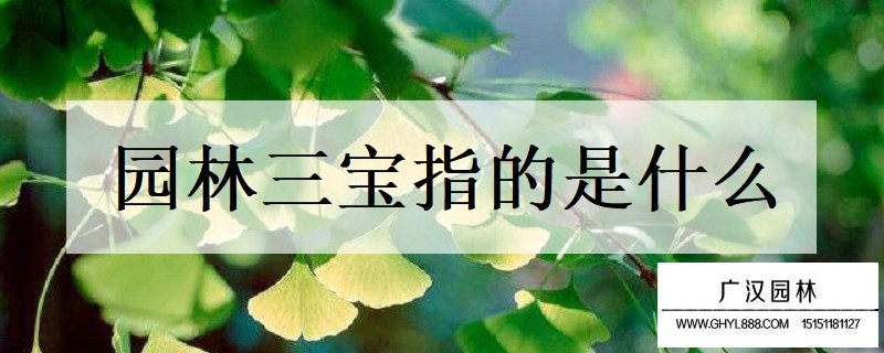 园林三宝指的是什么