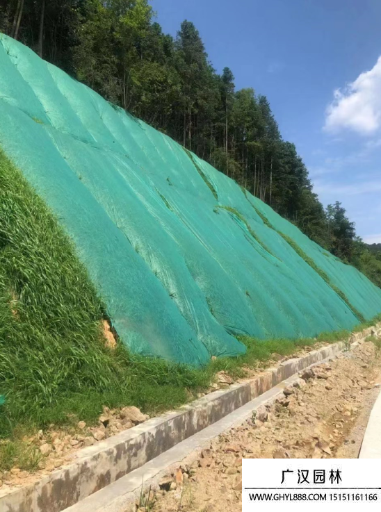 矿山河道护坡绿化